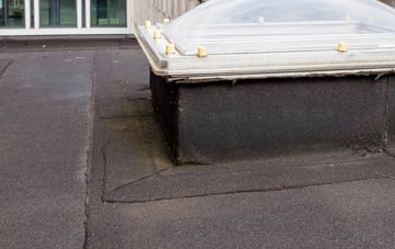 disadvantages of Rhu flat roofs