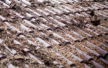 Rhu roof cleaning companies