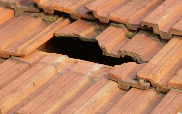 roof repair Rhu, Argyll And Bute